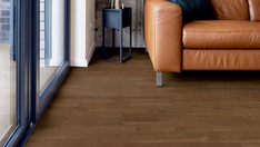 Dąb Burgund Dąb Burgund