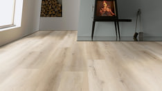 Dąb Tokyo Dąb Tokyo