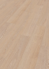 Dąb Berlin Dąb Berlin