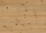 Chêne Caledonian Forest