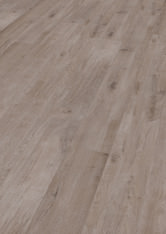 Eiche Bern Eiche Bern