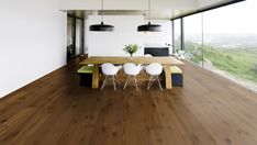 Oak No.29 - Blackdown Hills