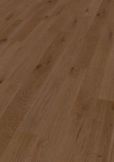 Dąb Bordeaux Dąb Bordeaux