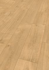 Chêne Miram Chêne Miram