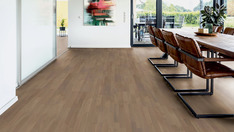 Dąb Bacchus Dąb Bacchus