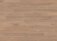 Dąb Beaujolais Dąb Beaujolais