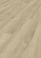 Chêne Corsica Chêne Corsica