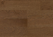 Dąb Burgund Dąb Burgund