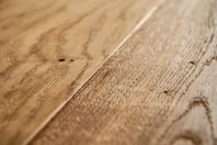 Oak No.11 - Salisbury