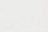 Pinie perlmuttweiß Pinie perlmuttweiß