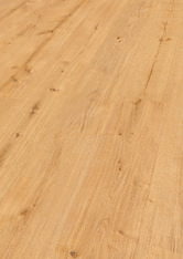 Dąb Libra Dąb Libra