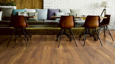 Chestnut Wine Bodega Chestnut Wine Bodega