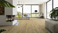 Chêne Caledonian Forest