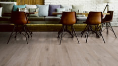 Eiche Bern Eiche Bern