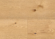 Chêne Perseus Chêne Perseus