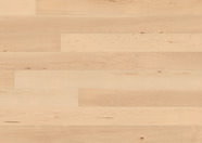 Canadees ahorn Canadees ahorn