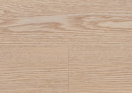 Dąb Berlin Dąb Berlin