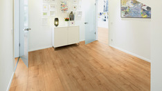 Chêne Boho Chêne Boho