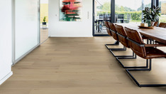 Dąb Amsterdam Dąb Amsterdam