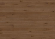 Dąb Bordeaux Dąb Bordeaux