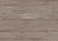 Eiche Bern Eiche Bern