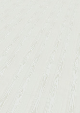 Jesion perłowo-biały Jesion perłowo-biały