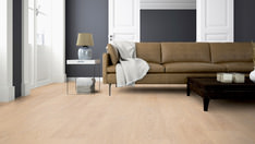 Dąb Berlin Dąb Berlin