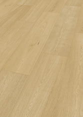 Chêne Pure Chêne Pure