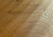 Oak No.17 - Blenheim