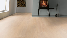 Dąb Berlin Dąb Berlin