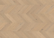 Chêne Het Zand Chêne Het Zand