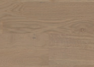 Dąb Bacchus Dąb Bacchus