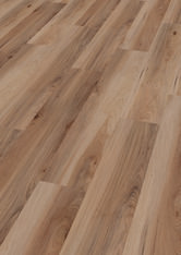 Hickory Nashville Hickory Nashville