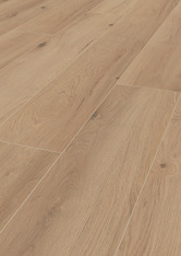 Chêne Palau Chêne Palau