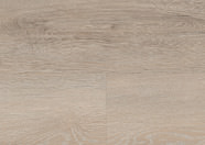 Dąb Brügge Dąb Brügge