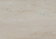 Dąb Stockholm Dąb Stockholm