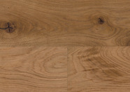 Oak No. 24 - Glasgow