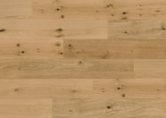 Chêne Caledonian Forest