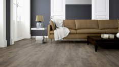 Oak Canberra Oak Canberra