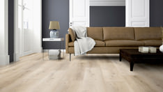 Dąb Tokyo Dąb Tokyo