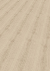 Dąb kremowo-beżowy Dąb kremowo-beżowy