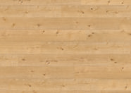 Chêne Perseus Chêne Perseus