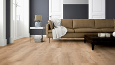 Oak Bristol Oak Bristol