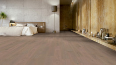 Dąb Chablis Dąb Chablis