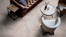 Dąb Helsinki Dąb Helsinki