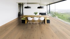 Oak No.31 - Galloway