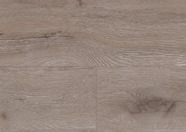 Eiche Bern Eiche Bern