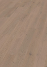 Dąb Chablis Dąb Chablis