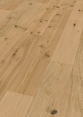 Chêne Caledonian Forest