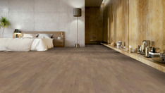 Dąb Bacchus Dąb Bacchus